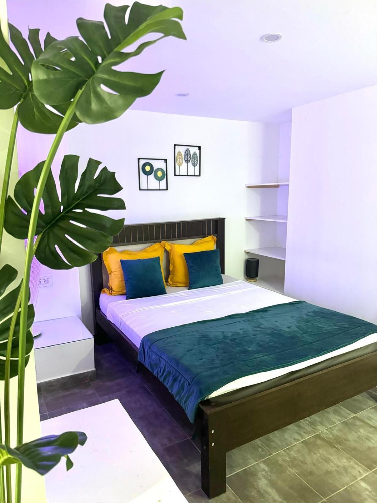 Maison Da פראייה מראה חיצוני תמונה